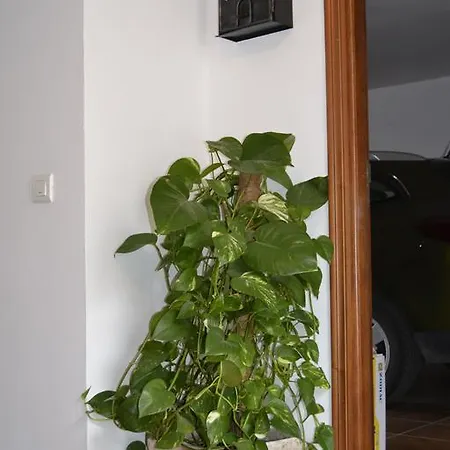 Casa Quercus Con Piscina Privada * Cortes de la Frontera